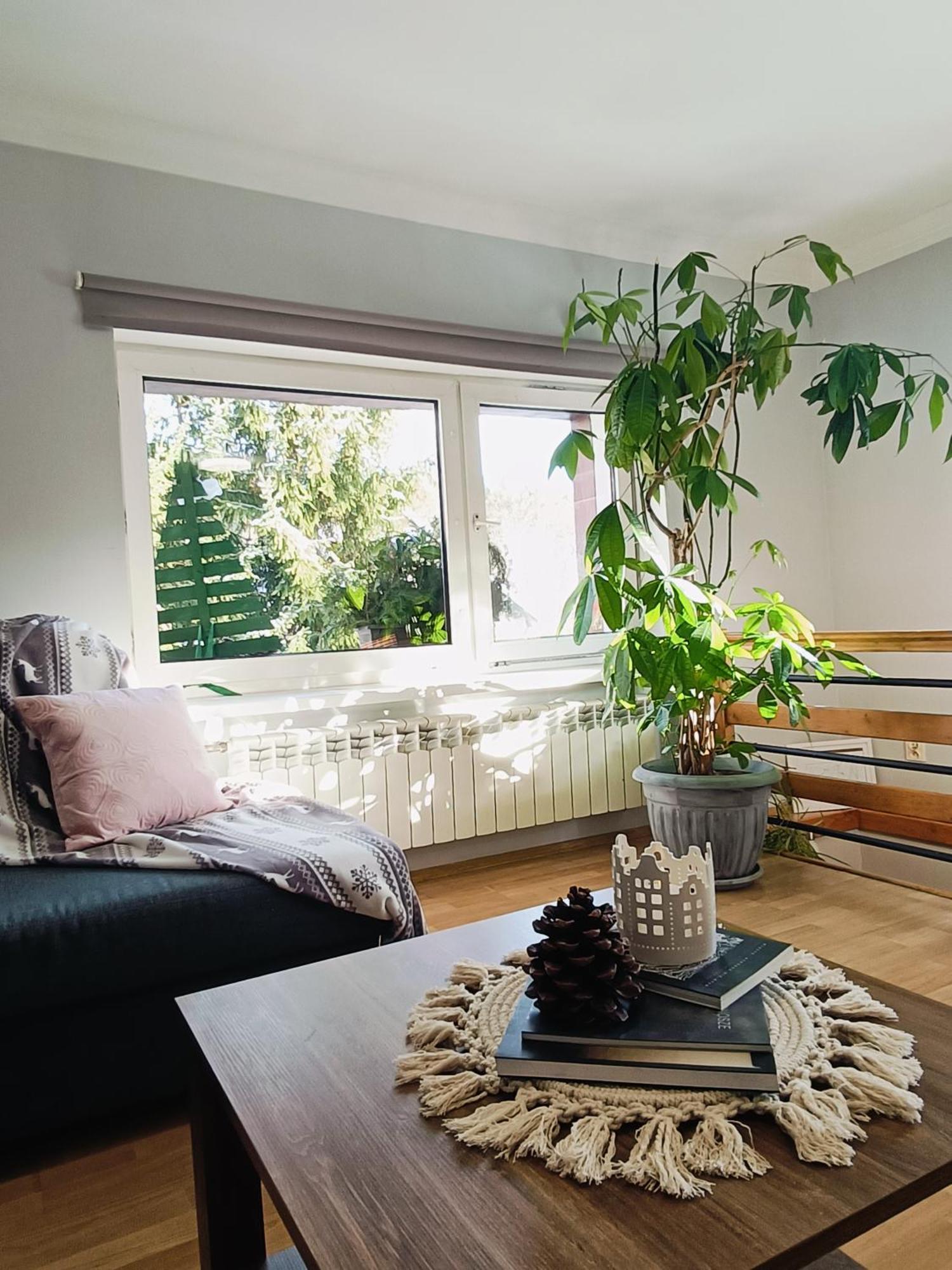 Apartament Nad Potokiem Piechowice  Ngoại thất bức ảnh